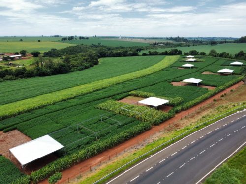 WhatsApp-Image-2025-11-17-at-14.05.48-1